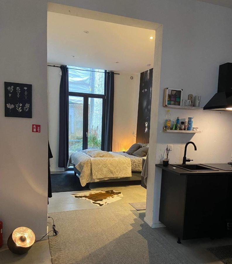 Garden Suite In City Center Antwerpen Eksteriør billede